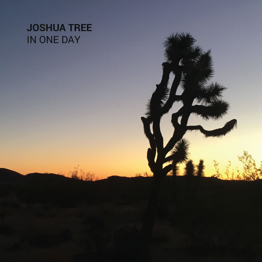 Visit Joshua Tree National Park In One Day