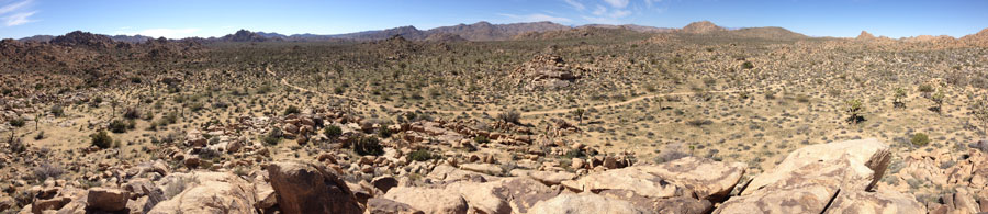 Panorama of the Mojave Desert