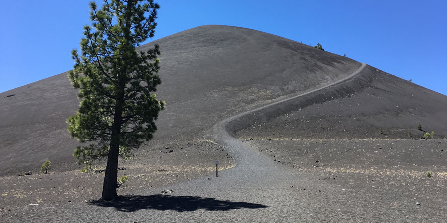 Final shade before the climbing up Cinder Cone
