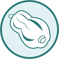 Butternut Squash Icon