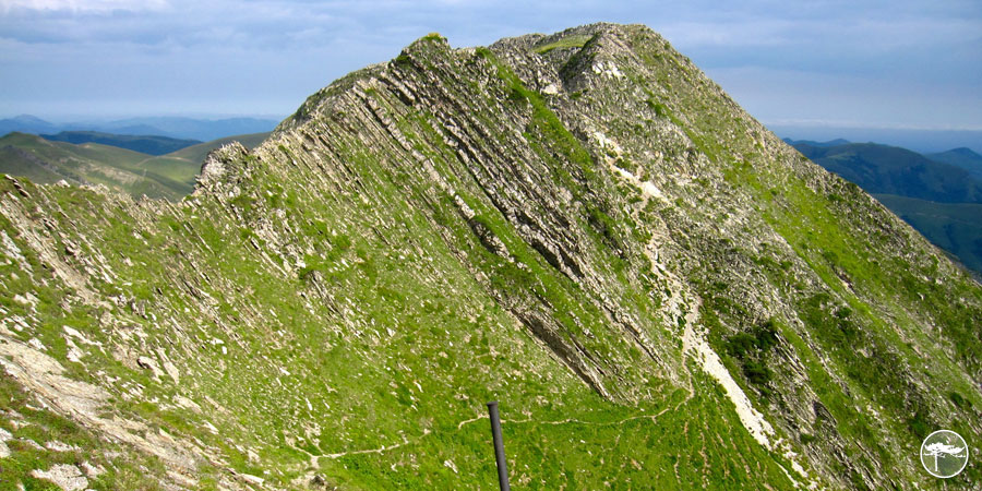 The Sheep Poop Covered Trail