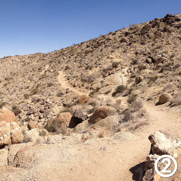 Fortynine Palms Oasis hike photo #2