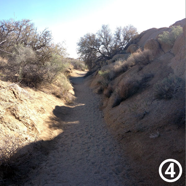 Skull Rock hike photo #4