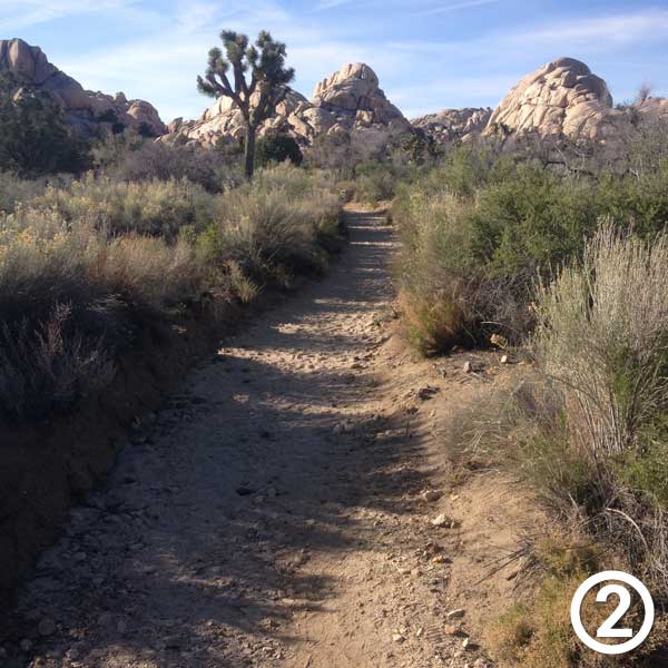 Wall Street Mill hike photo #2