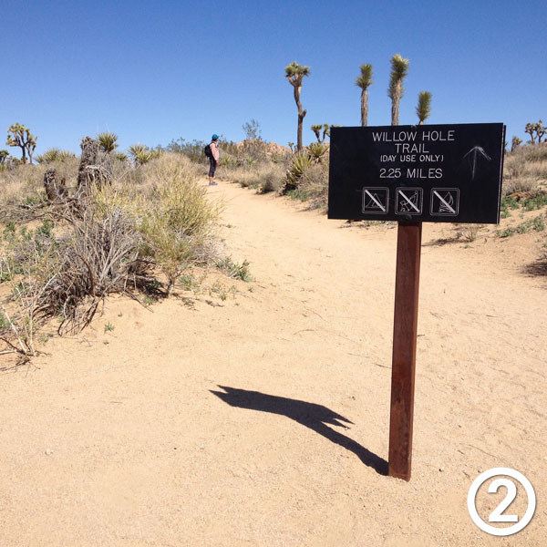 Willow Hole hike photo #2