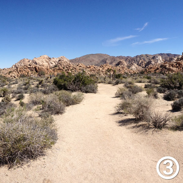 Willow Hole hike photo #3
