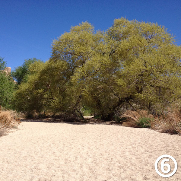 Willow Hole hike photo #6
