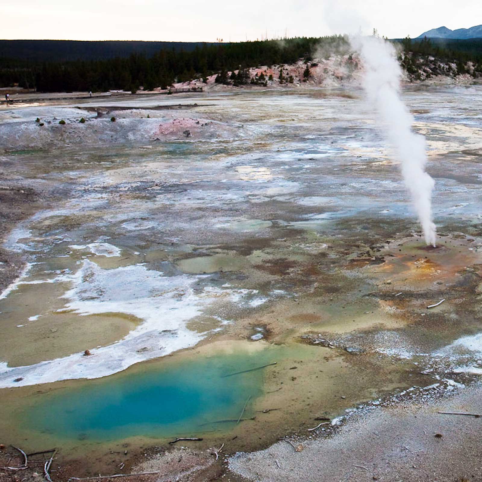 Norris Geyser Basin