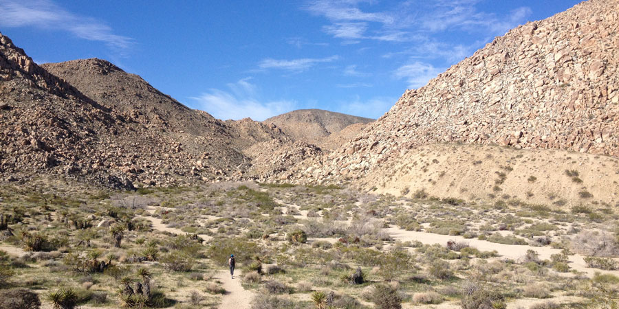 Approaching Boy Scout Canyon