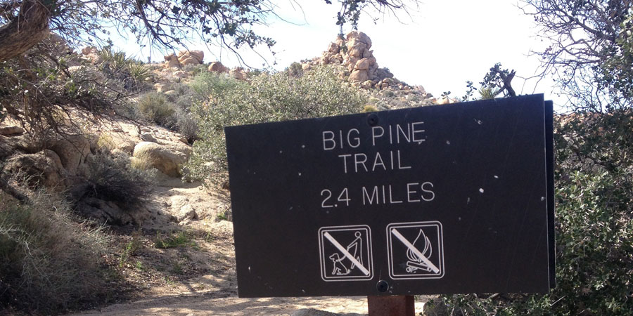 Big Pine Trail junction sign