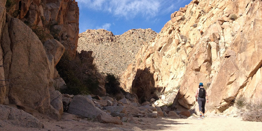 Boy Scout Canyon