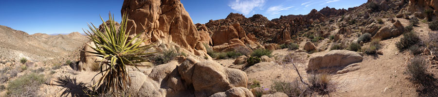 Canyon panorama