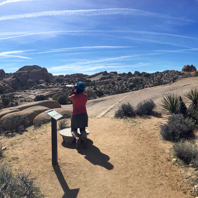 Discovery Trail