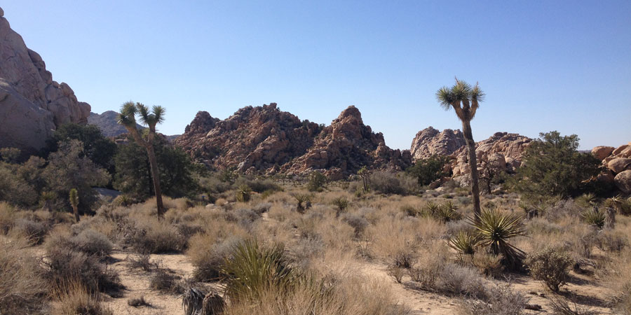 Hidden Valley entrance