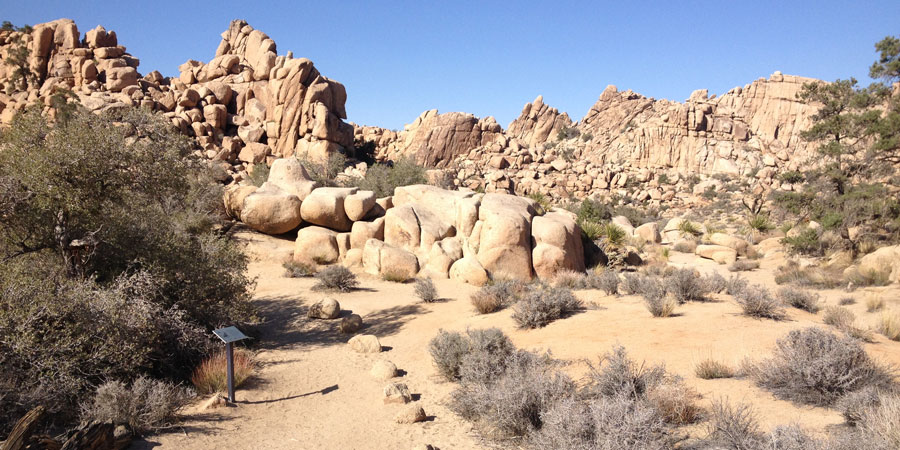 Interpretive Signs in Hidden Valley