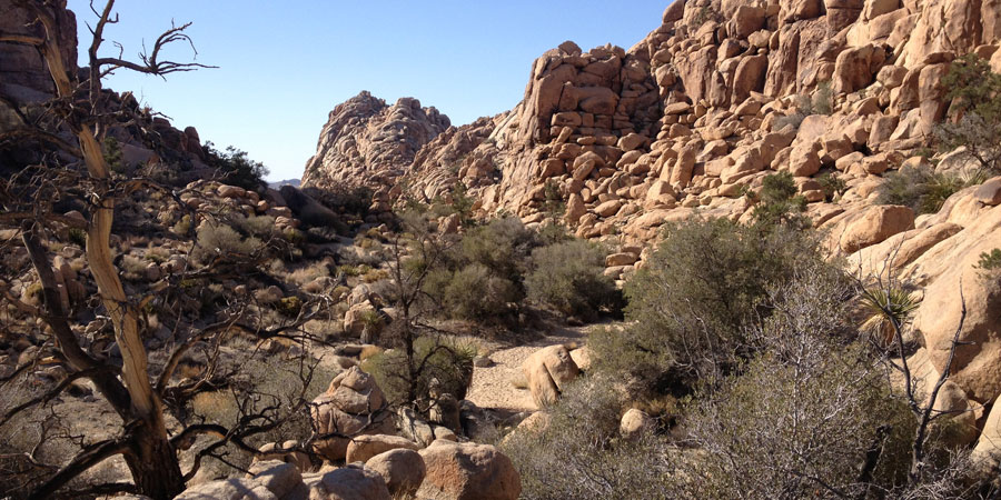 Hidden Valley wash