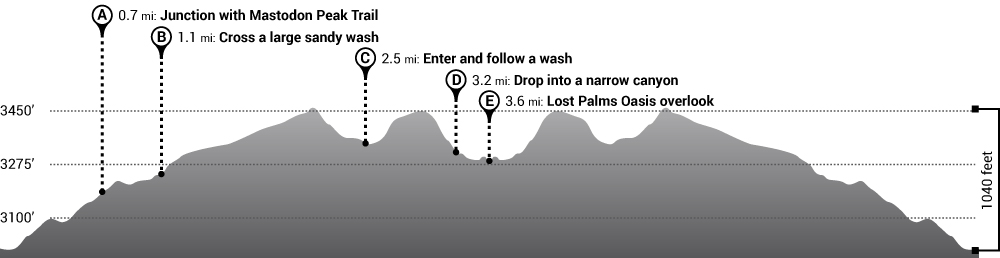 Hike Lost Palms Oasis Trail Elevation Profile