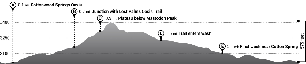 Hike Mastodon Peak Trail Elevation Profile