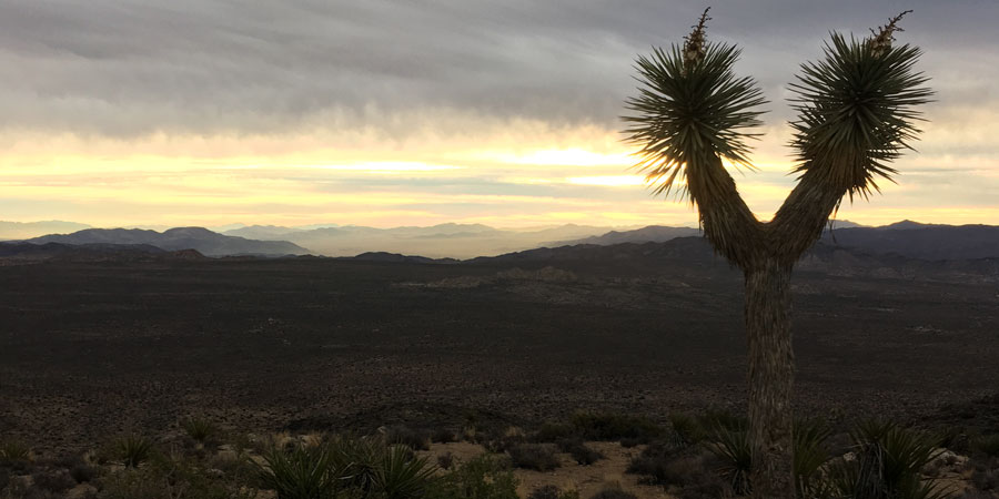 Ryan Mountain summit at sunrise