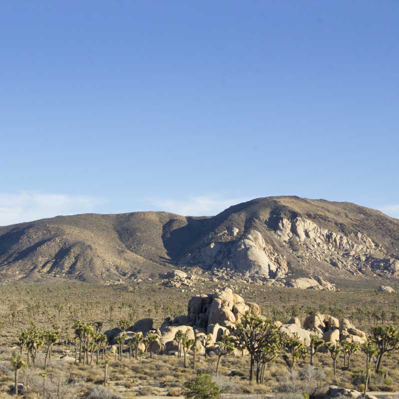 Ryan Mountain Trail