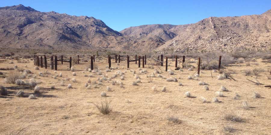 Old homestead fence