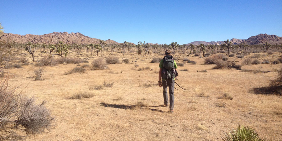 On the search for Samuelson's Rocks