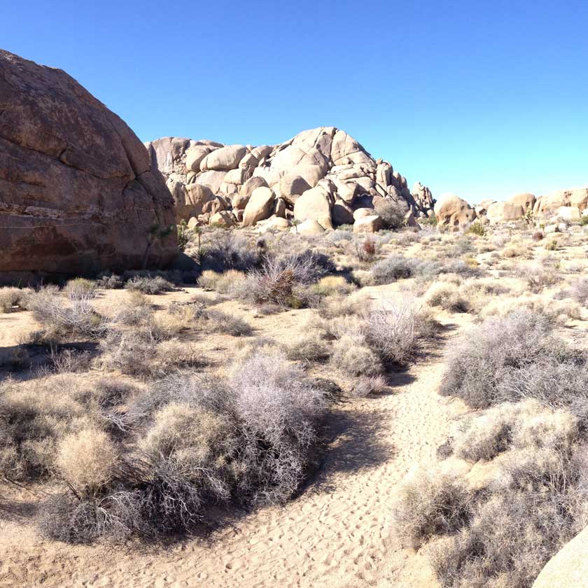 Split Rock Trail