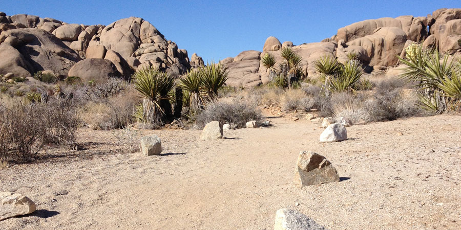 Stone markers lining the path