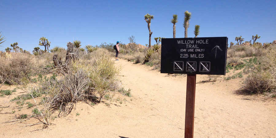 Junction with Boyscout Trail