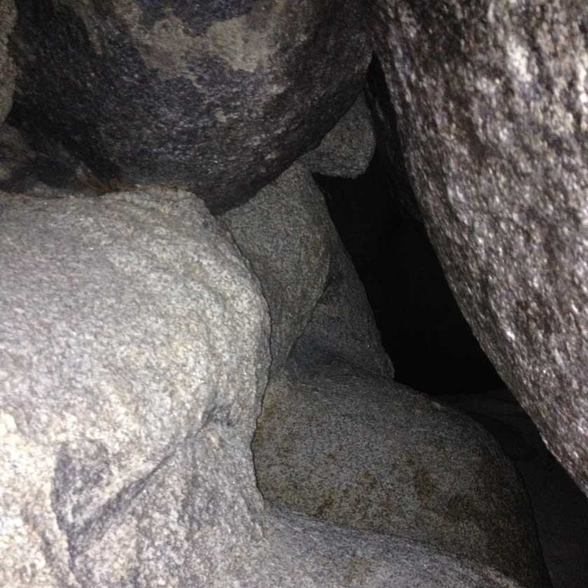 The Crawl