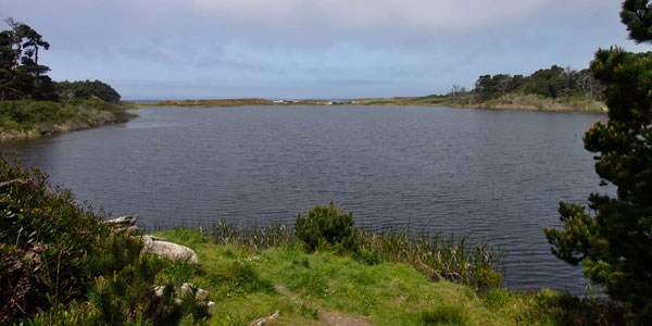 Camping at MacKerricher State Park