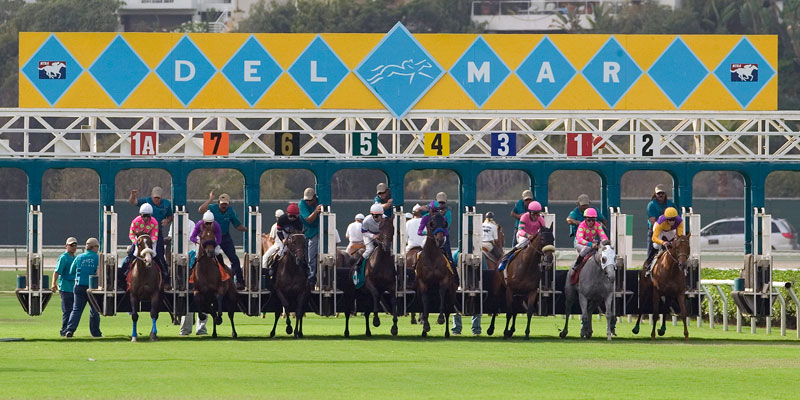 Del Mar Race Horses at Starting Gate