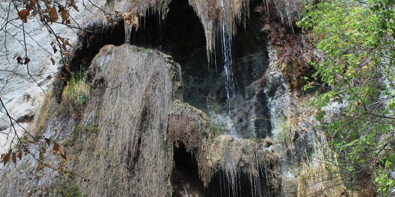 Weeping Face of Escondido Falls