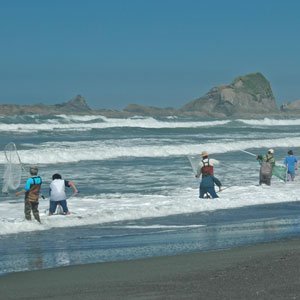 Spelt Fishermen